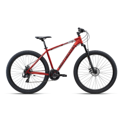 BOTTECCHIA 109